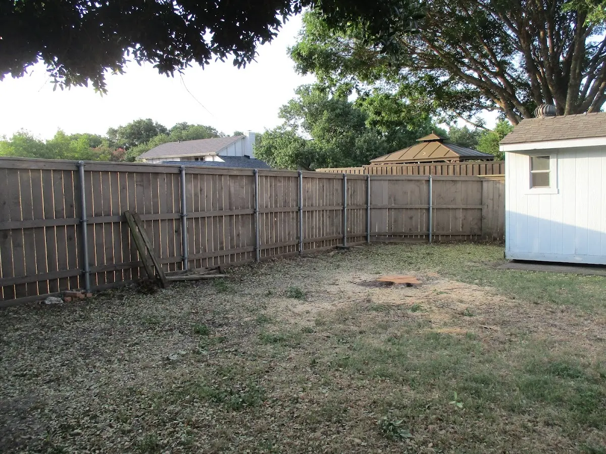 Cleared yard after professional tree removal in Metcalf